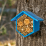 Beneficial Bug House