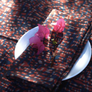Block Print Dinner Napkins - Set of 4