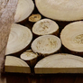Eucalyptus Wood Coasters - Set of 4