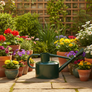 Long Spout Watering Can