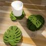 Monstera Leaf Felt Coasters - 4 Pack