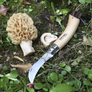 Mushroom Knife with Brush