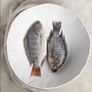 Organic Serving Bowl - Large