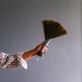 Tampico Wing Hand Broom