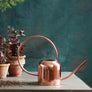 Copper Watering Can