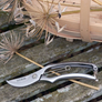 Stainless Steel Secateurs