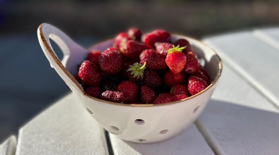 Delights of Summer