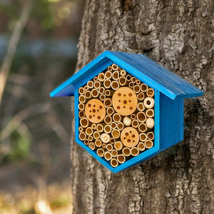 Beneficial Bug House