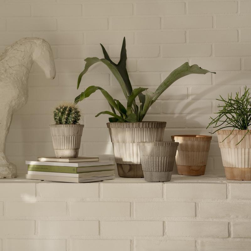 Terracotta plant pots, plant pot collection with indoor plants