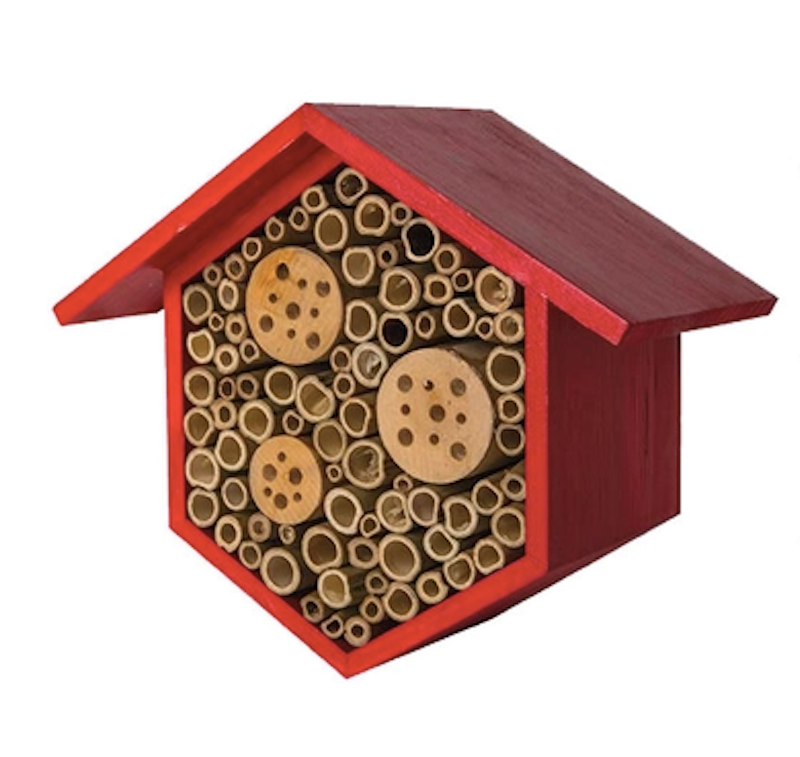 Beneficial Bug House