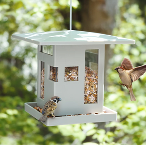 Bird Cafe - Outdoor Bird Feeder