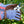 Ladies Gardening Gloves