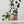 Candy Stripe Plant Pot with Saucer