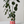 Candy Stripe Plant Pot with Saucer