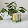 Candy Stripe Plant Pot with Saucer
