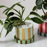 Candy Stripe Plant Pot with Saucer