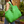 Carryall Tote Bag