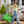 Carryall Tote Bag