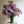 Daisy Glazed Vase
