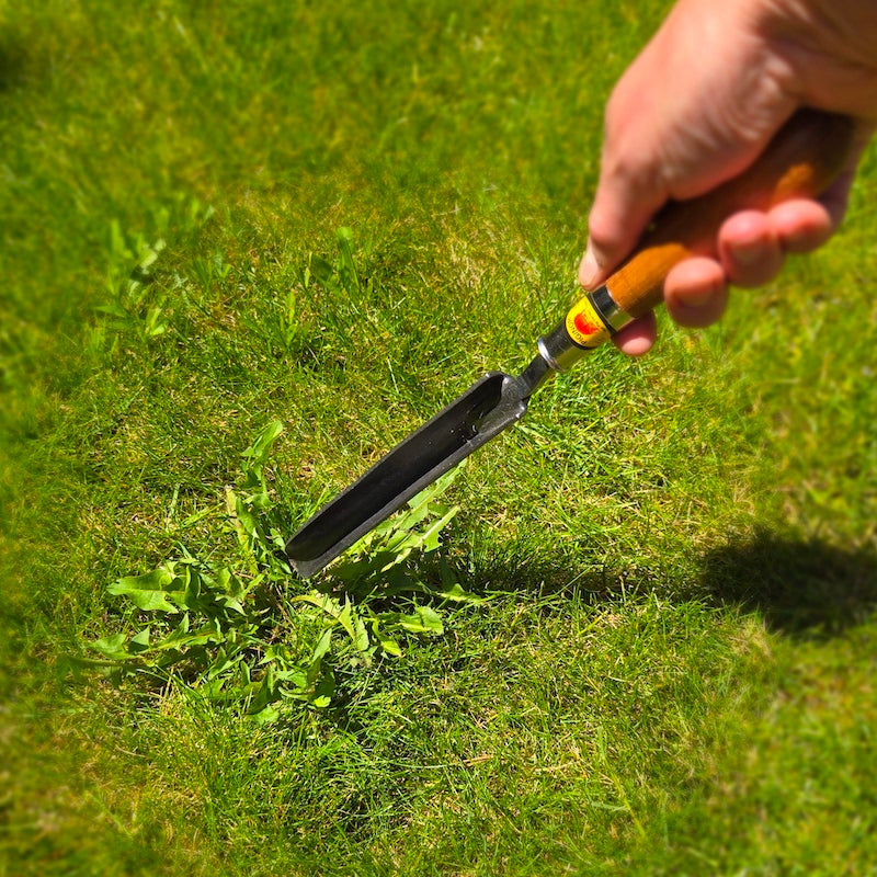 Dandelion Weeding Trowel