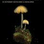 Cover image of boxed notecards featuring photo of mushrooms and moss against dark black background with 'Deep Dark Forest' title and '20 Different Notecards & Envelops' at the top of the image and 'Photographs by Julya Hagnoczky' text at bottom of image.