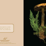 Open notecard featuring front image of mushroom and cedar pine branch on dark black background. Card back features light tan pink background with descriptive text and printer publisher copyright details below.