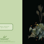 Deep Dark Forest Notecards - Set of 20