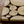 Eucalyptus Wood Coasters - Set of 4