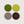 Felt Round Coaster - Multi 4 Pack