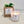 JP General Fresh Scented Candle