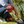 Garden Knee Pads
