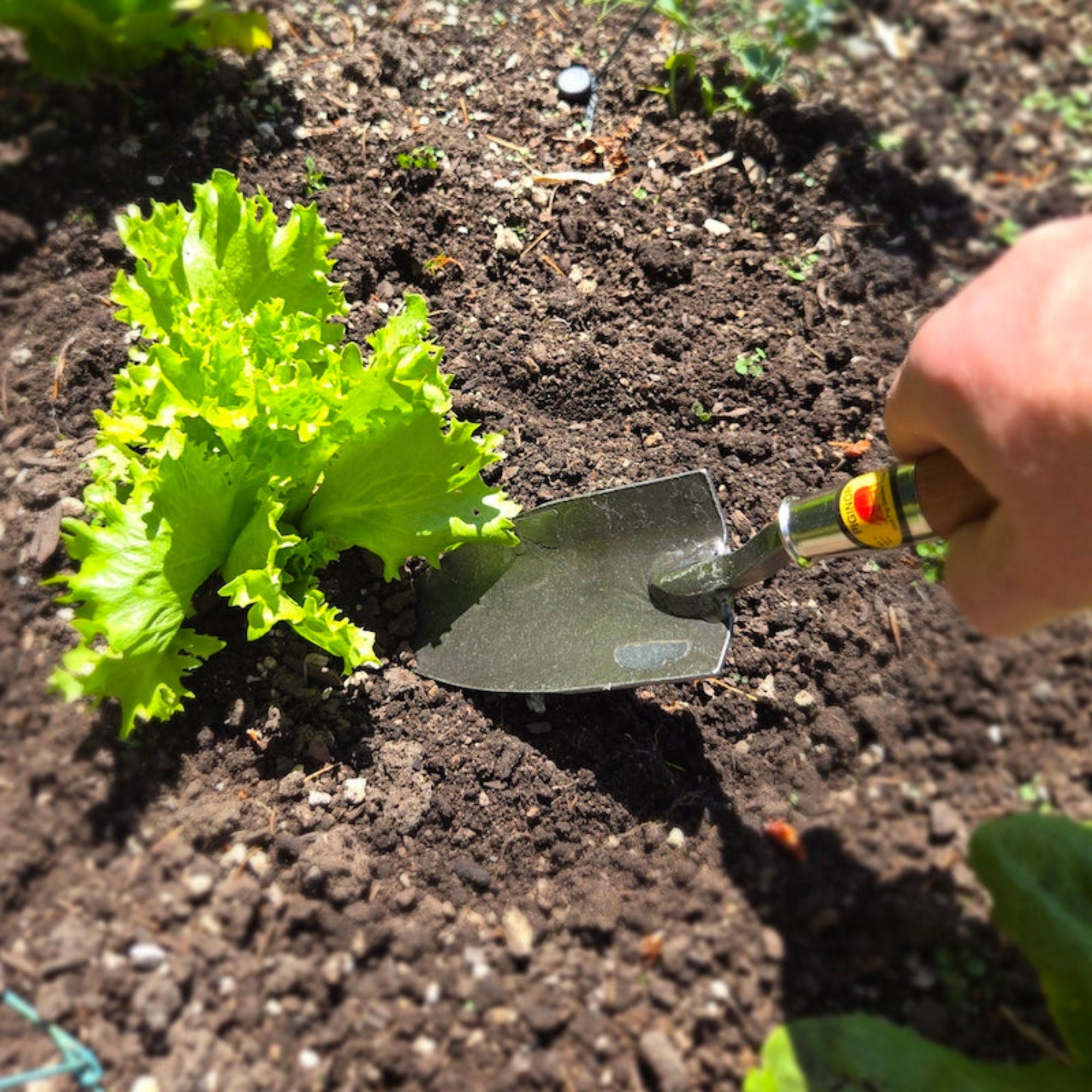 hand trowel garden Hand Trowel