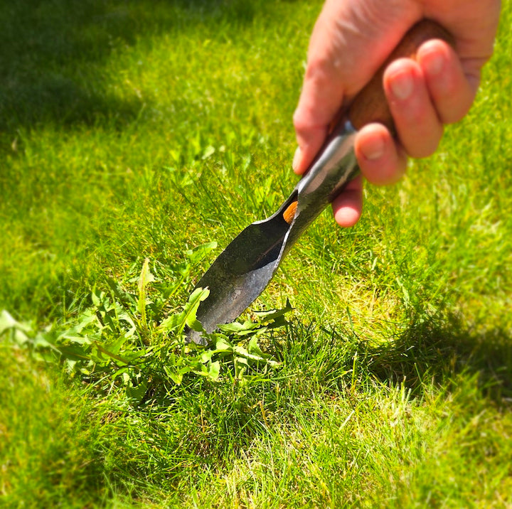Hori Hori Trowel