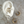 Jessa Hoop Earrings