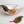 Mango Wood & Enamel Serving Bowl