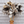 Ostrich Feather Duster 28 inch