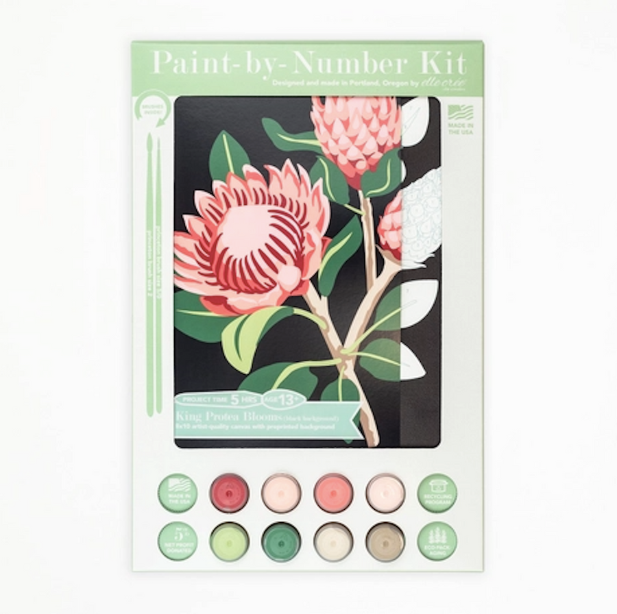 Paint-By-Number Kit