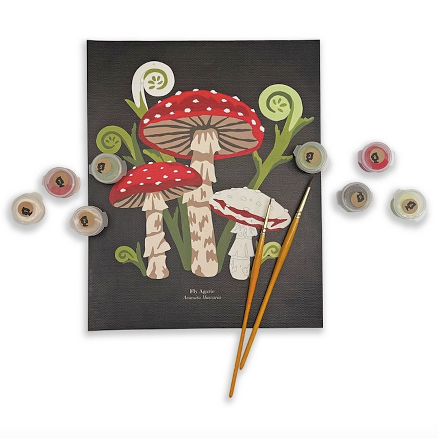 Paint-By-Number Kit