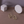 Palette Post Earrings