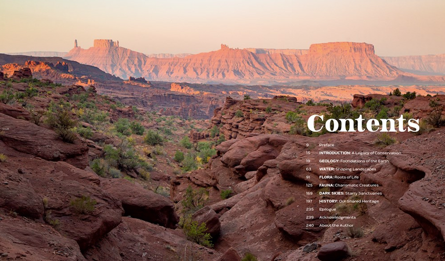 Parklands by Jacob W. Frank