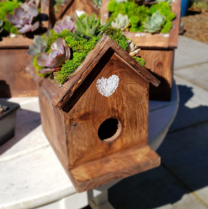 Plantable Birdhouse