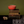 Rimmed Hermit Soup Bowl