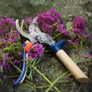 Secateur Hand Pruner