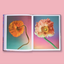 An open art book or magazine laid flat on a pink background, showing two floral illustrations on the spread: an orange flower on the left and a peach flower with a yellow center on the right, both against pastel gradient backgrounds.