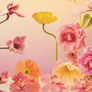 A still life floral arrangement with pink, yellow, and orange flowers reflected on a glossy surface against a soft peach-to-pink gradient background.