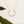 Sunlight Pendant Necklace