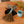 Tampico Wing Hand Broom