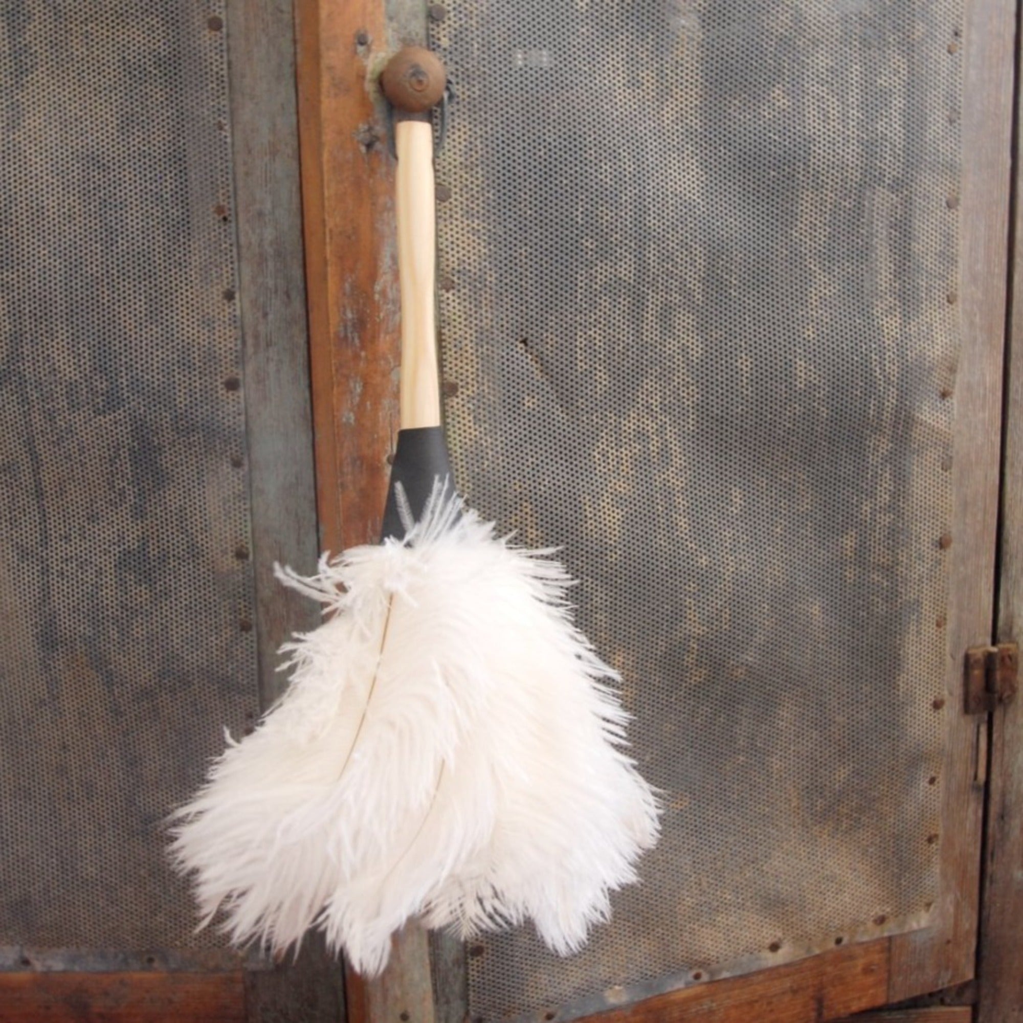 Ostrich Feather Duster - 14 inch – JP General
