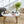 Eos Candlestick Holder - Set 5
