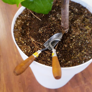 Mini Trowel & Cultivator Set